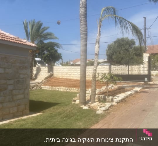 דשא ירוק, עצי דקל, ערוגת אדמה חדשה
